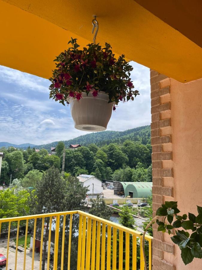 Anissia Apartament Sinaia
